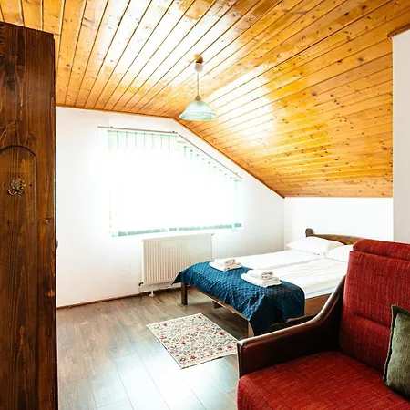 Pensiunea Iris 3*
